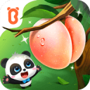 樊振东将离开萨尔布吕肯乒乓球俱乐部